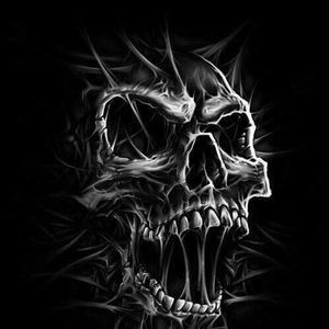 Meet your Posher, Curtis